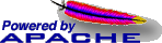 -.-. .-.. .. -.-. -.-